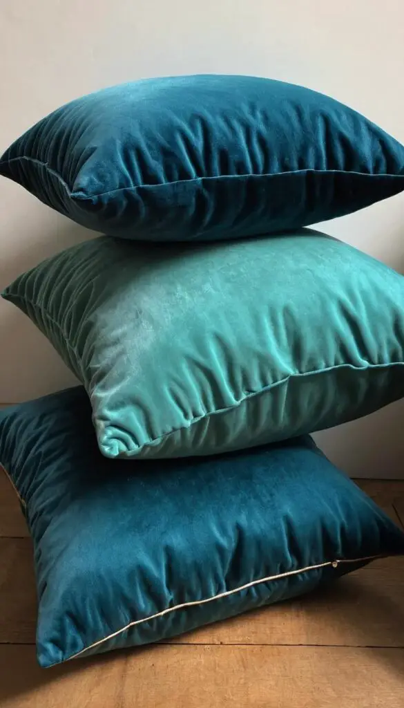 velvet cushions